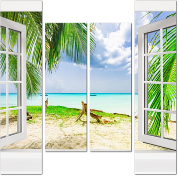 Окно с видом на прекрасный пляж