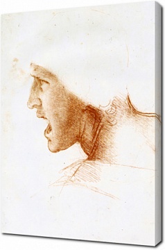 Леонардо да Винчи - Графика