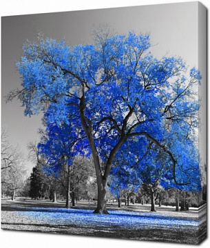 Дерево с синими листьями