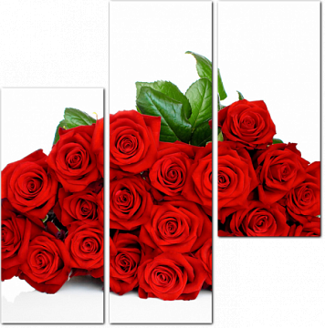 Букет из красных роз на белом фоне