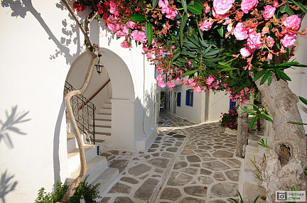 Фотообои Улочка острова Санторини. Греция