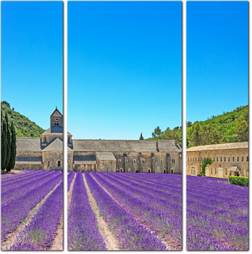 Аббатство Сенанк и цветущая лаванда, Франция
