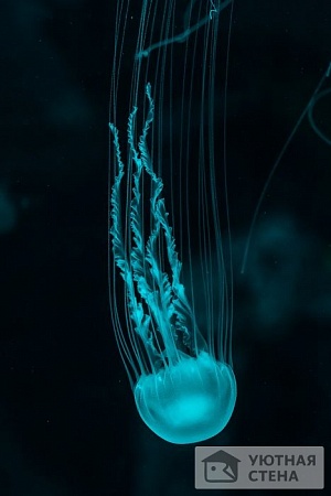 Неоновая медуза