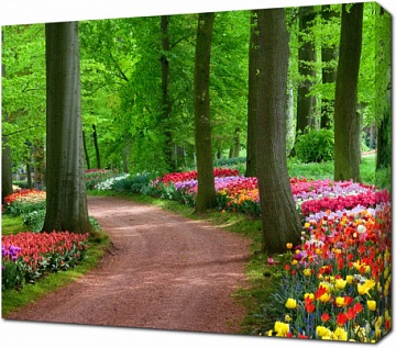 Весенний парк с тюльпанами