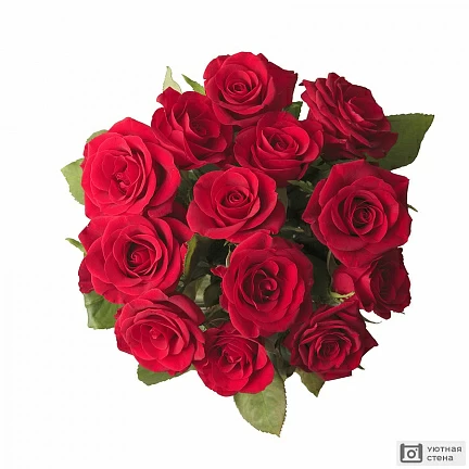 Букет красных роз на белом фоне