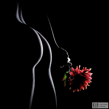 Силуэт обнаженной девушки с красным цветком в темноте