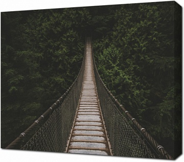Подвесной мост уходящий в лес