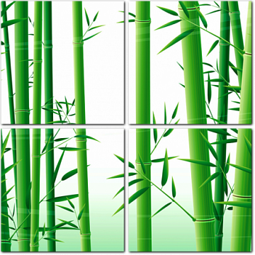 Стройные стебли бамбука
