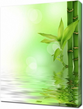 Бамбук и вода