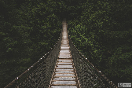 Подвесной мост уходящий в лес