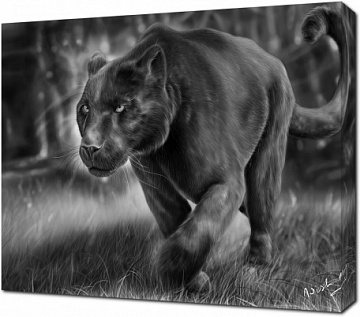 Детальный рисунок пантеры