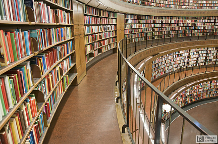 Книжные полки в библиотеке