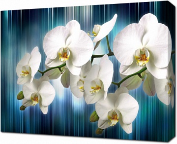 Орхидея на движущемся фоне
