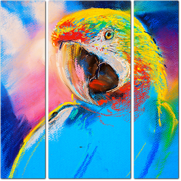 Красочный попугай