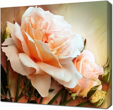 Персиковая роза 3D