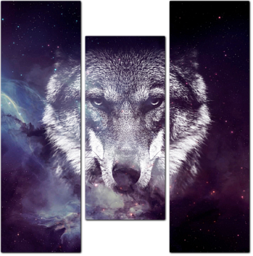 Волк в звёздном небе