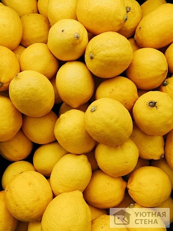 Яркие лимоны