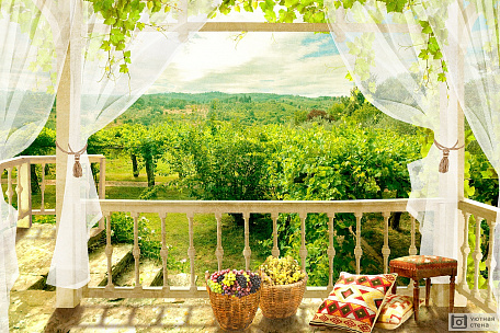 Терраса с видом на виноградник