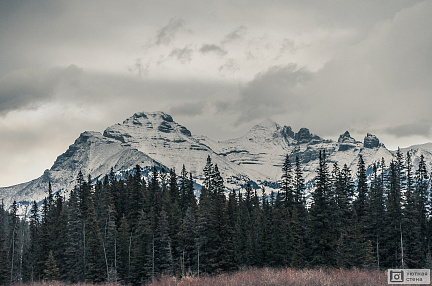 Фотообои Белоснежные горы за лесом