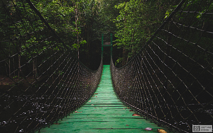 Зеленый подвесной мост