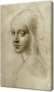 Леонардо да Винчи - Портрет женщины