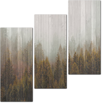 Туманный лес на декоративном фоне