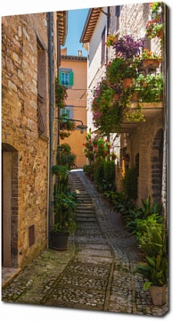 Узкая улочка с цветами. Тоскана. Италия