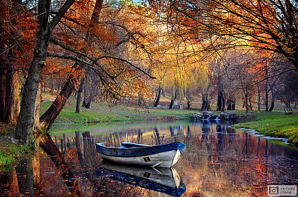 Красочная осень в парке с прудом