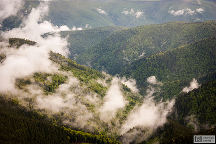 Клубы облаков над лесом