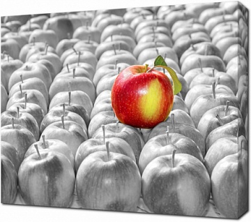 Красно-желтое яблоко на фоне черно-белых