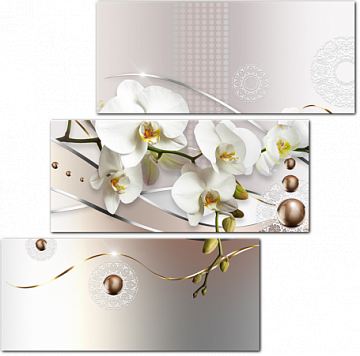 Орхидея с серебряной лентой