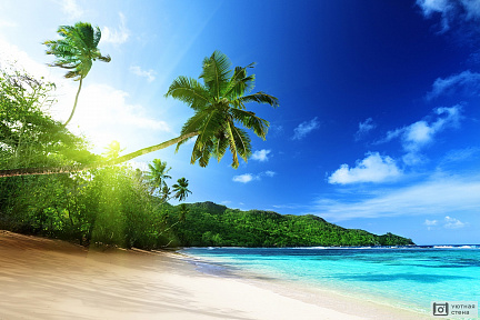 Пляж острова Маэ на Сейшельских островах
