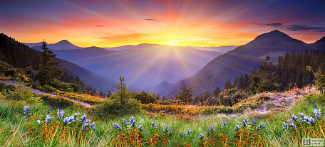 Фотообои Величественный закат высоко в горах