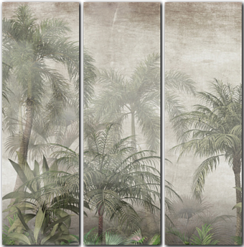 Туманный тропический лес