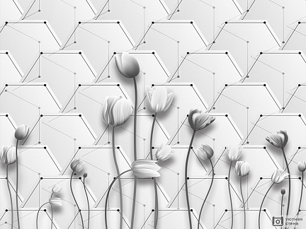 Белые тюльпаны на геометрическом фоне