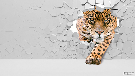Леопард 3D