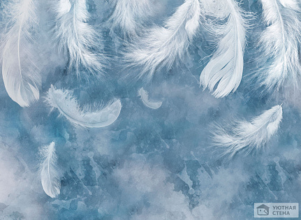Белые перья на бело-голубом фоне