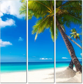 Красивые пальмы на белом песчаном пляже