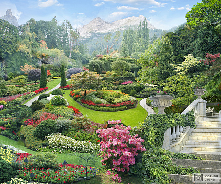Фотообои Ботанический сад у подножья гор