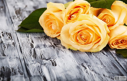 Желтые розы на деревянном фоне