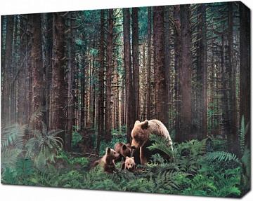Семейство медведей в лесу