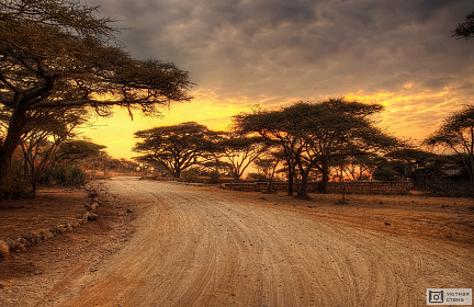 Фотообои Серенгети национальный парк Африки