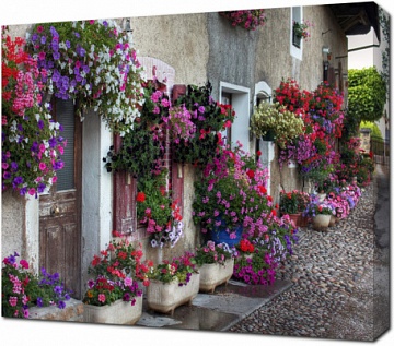 Дом украшенный цветами в Альбене. Франция