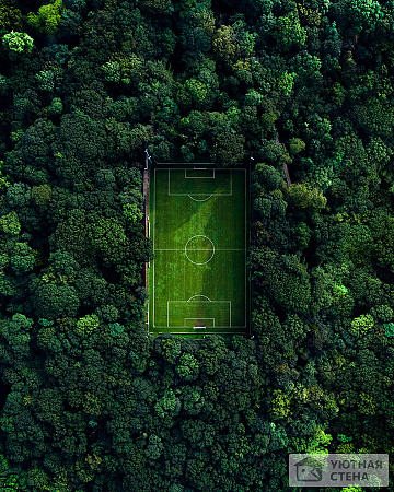 Футбольное поле в лесу