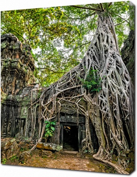 Древняя Кхмерская архитектура, храм Та Пром