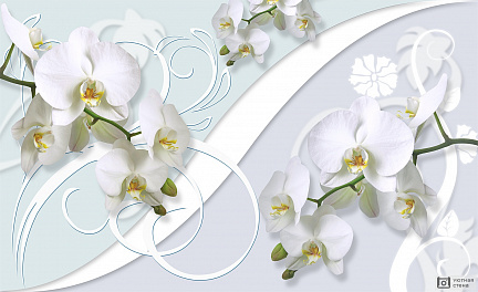 3D композиция с орхидеями