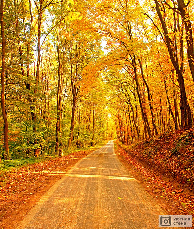 Дорога осенью