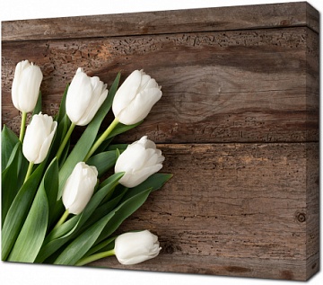 Семь белых тюльпанов