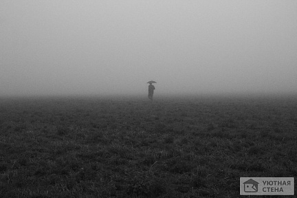 Незнакомец в тумане