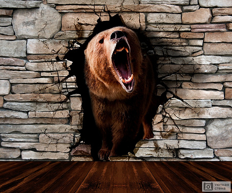 3D медведь